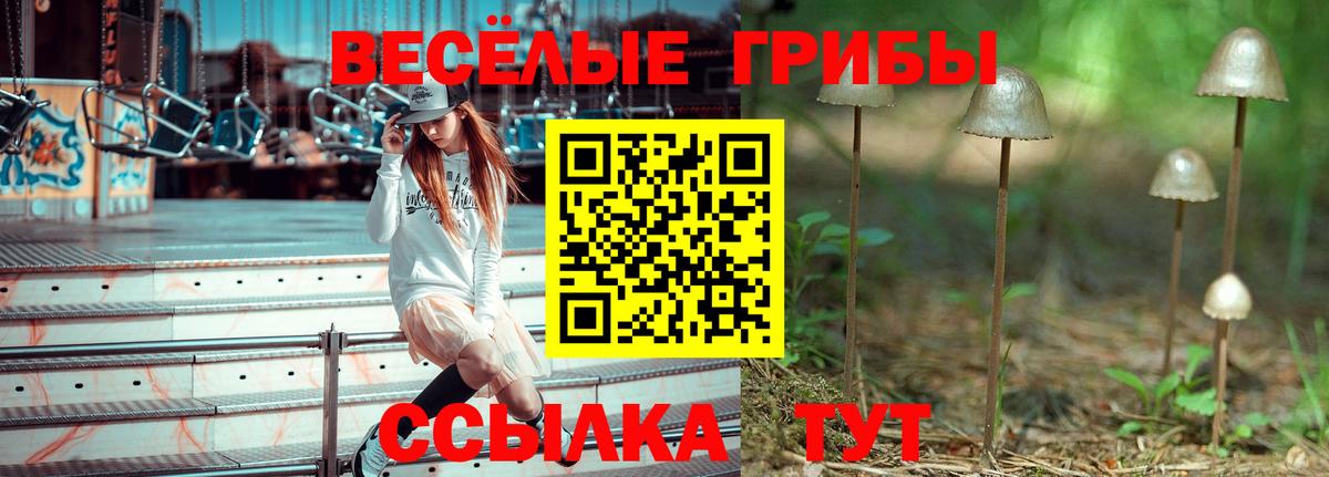 Псилоцибиновые грибы Magic Shrooms Новоалександровск