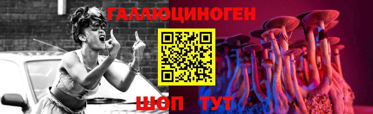 Галлюциногенные грибы Psilocybe  Вход с VPN  Новоалександровск 
